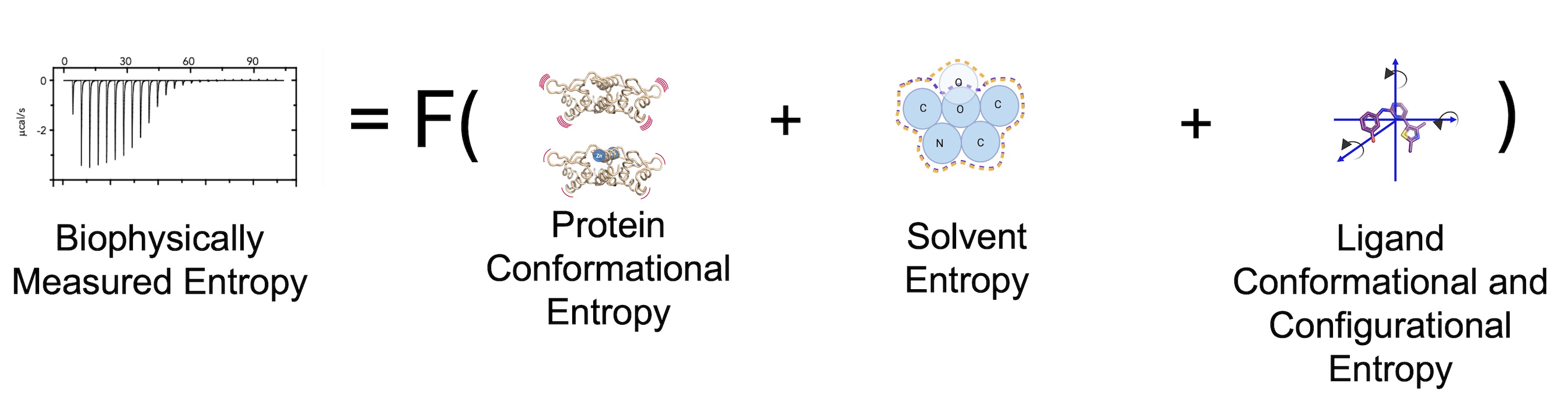 Entropy Biophysical Measurements