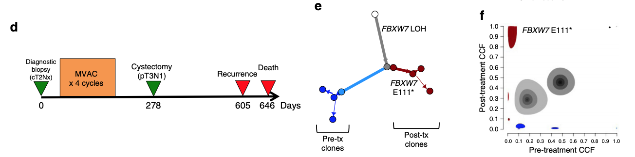 Key Figure